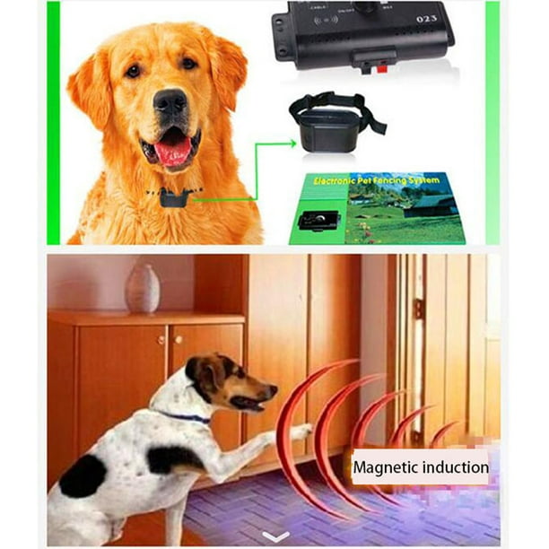Intsupermai Electronic Dog Fence Pet Containment System Waterproof Collars In Ground 1 Shock Magnetic Induction Walmart Com Walmart Com