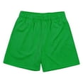 thumbnail image 2 of Mens Beach Shorts Casual Elastic Waist Mesh Breathable Athletic Shorts, M, 2 of 6