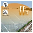 thumbnail image 4 of Greenhouse Film 32 x 25 ft, Greenhouse Polyethylene Film 6 Mil Thickness, Greenhouse Plastic Clear Plastic Film UV Resistant, Polyethylene Film Keep Warming, Superior Strength Toughness, 4 of 6