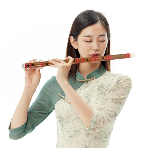 WHAMVOX Bamboo Flute for Beginners Multi Color Traditional Chinese Music Instrument Portable Size 16.3 Inches