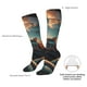 thumbnail image 4 of Balery Cool Cat Driving Sunset Calcetines novedosos Calcetines deportivos Calcetines hasta la rodilla Calcetines de algodón Calcetines originales y geniales, 4 of 6