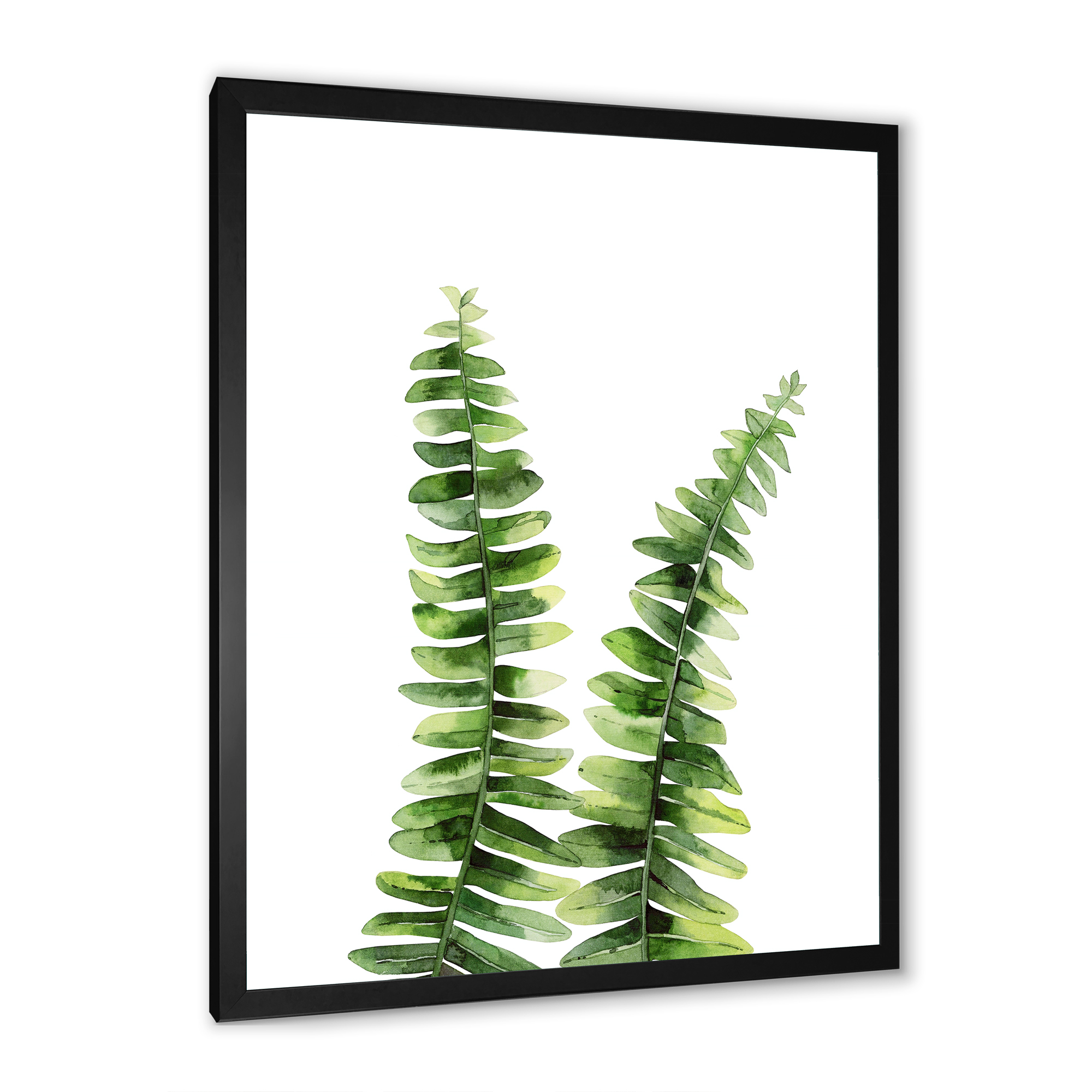 Designart 'Fern Plant Leaves Detail V' Tropical Framed Art Print