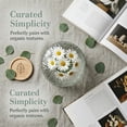 thumbnail image 4 of Unique Bargains Glass Vase for Flowers Nordic Decorative Clear 3.5"L x 3.5"W x 5.2"H, 4 of 5