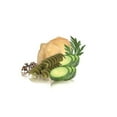 thumbnail image 4 of De Cecco Spinach Fusilli No.34 Pasta, 12 oz, 4 of 5