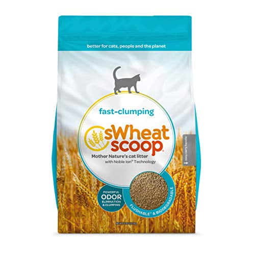 Swheat Scoop Natural Cat Litter Original 36 lb.