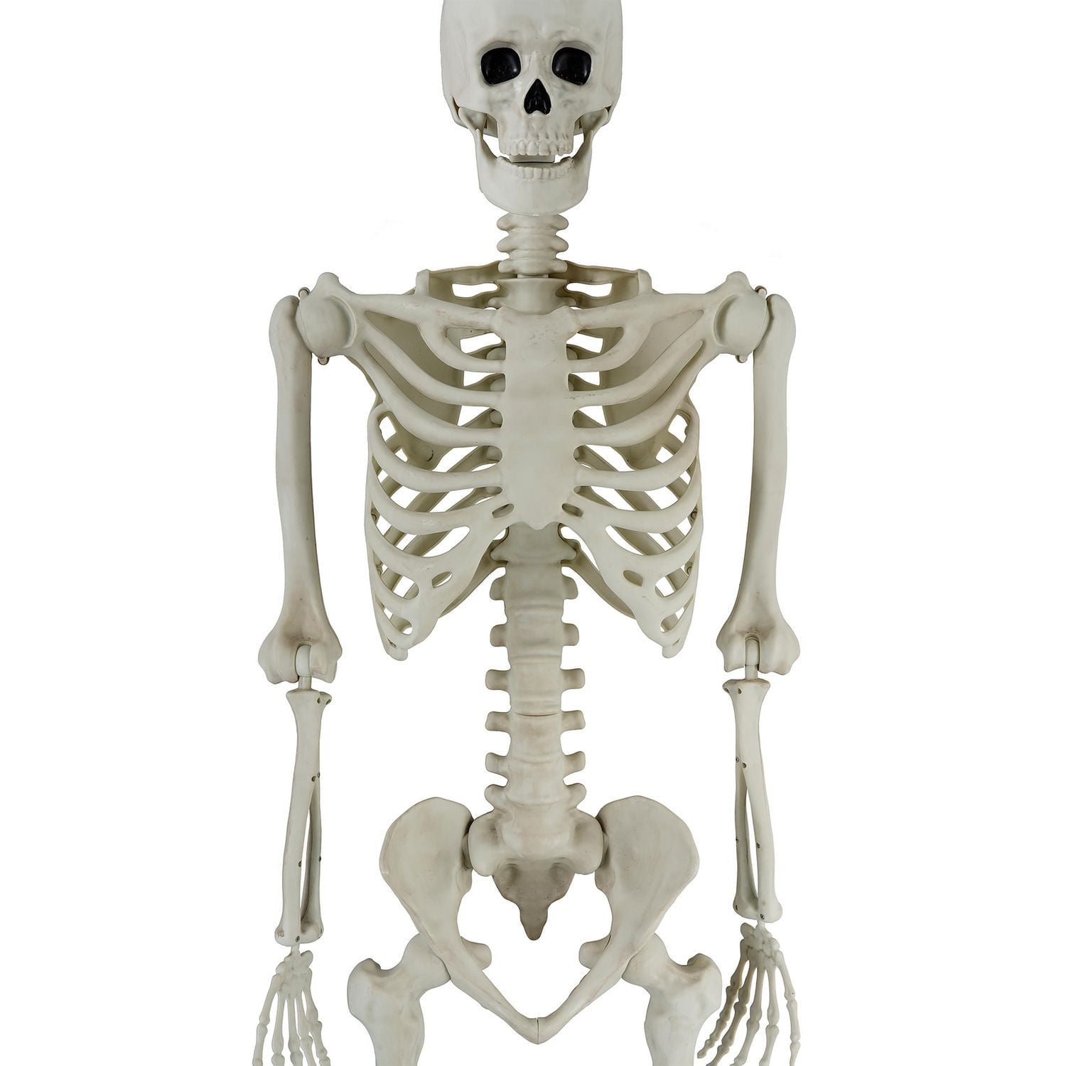 Halloween Deco Way to Celebrate 60inch Pose-able Skeleton Non-function