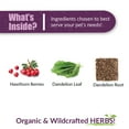 thumbnail image 4 of Amber NaturalZ Hawthorn and Dandelion for Pets | For Heart Health, Circulation, & Fluid Balance 1oz, 4 of 7