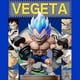 thumbnail image 4 of Dragon Vegeta Figure Toys Anime Action Figure Model Gifts Collectible Figurines For Kids 17cm, 4 of 4