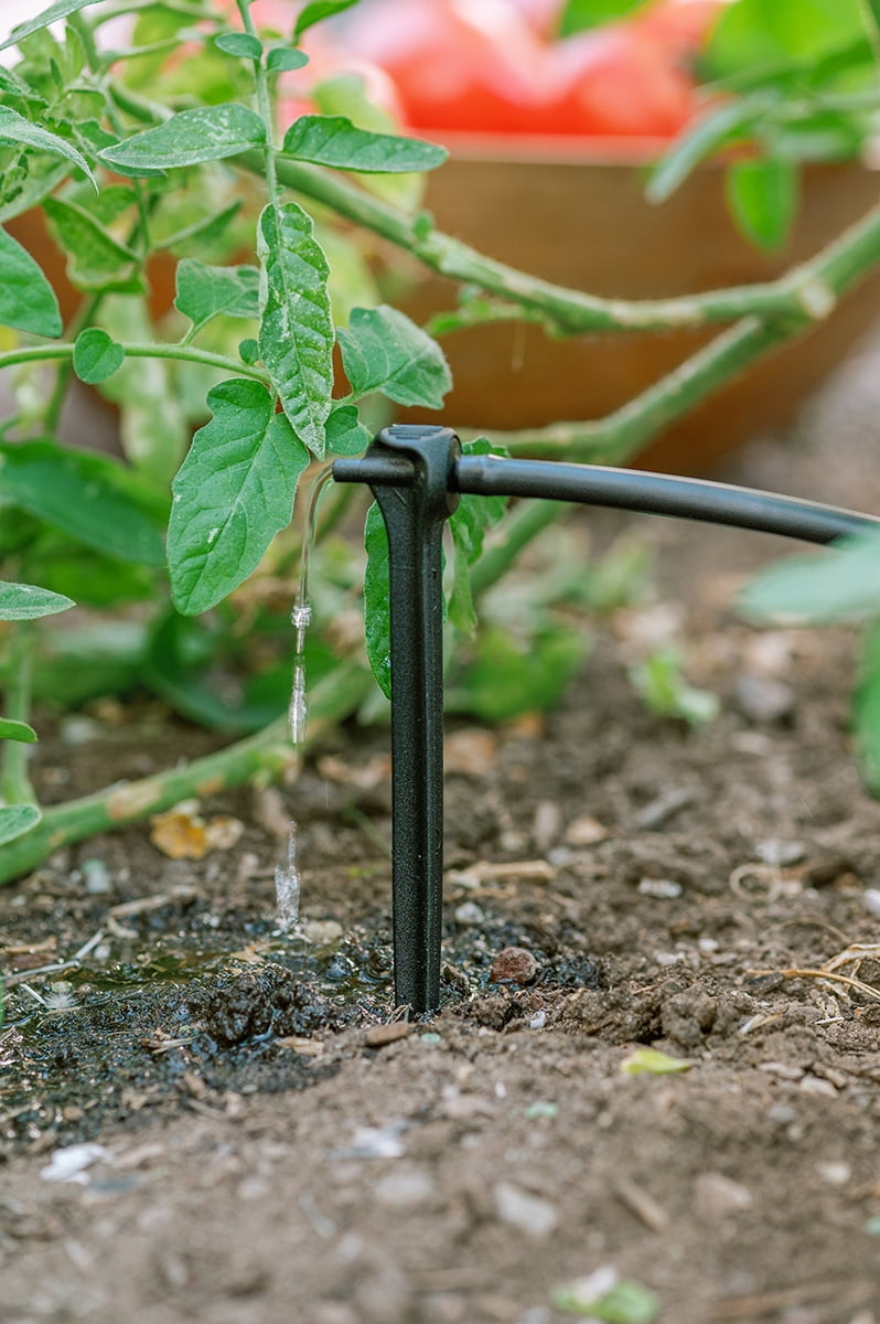 Tomato Garden Drip Watering Kit