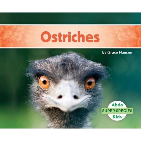 Super Species Set 1 Ostriches, (Hardcover)