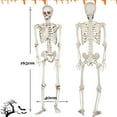 thumbnail image 3 of XZKING 5.4ft Halloween Skeleton, Halloween Life Size Full Body Skeleton with Movable Joints for Halloween Indoor Outdoor Haunted House Decorations, 3 of 7
