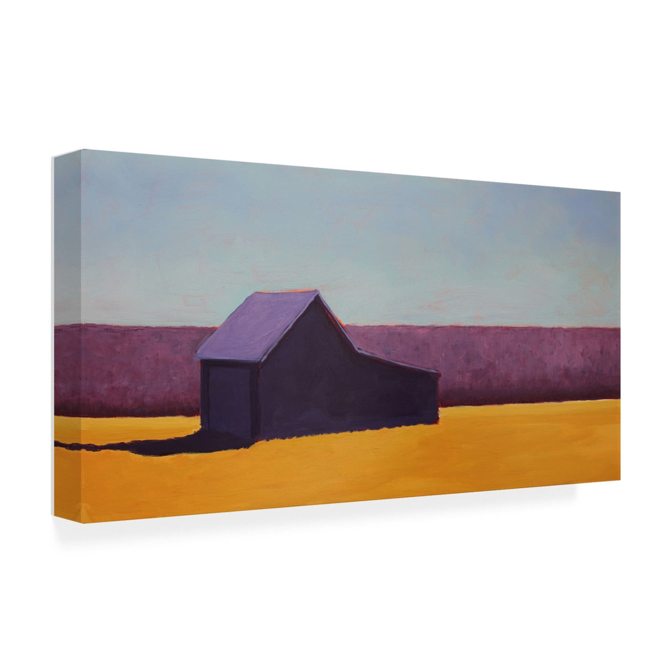 Trademark Fine Art Carol Young Barn on the Range II Canvas Wall Art