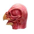 thumbnail image 2 of Máscara de terror, calavera de sangre, cabeza de pájaro, cosplay para Halloween, 2 of 2