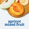 thumbnail image 3 of Gerber 2nd Foods Natural for Baby Baby Food, Apricot Mixed Fruit, 4 oz Tubs (2 Pack), 3 of 15