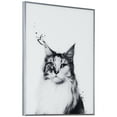 thumbnail image 2 of Empire Art Direct Siberian Cat Black and White Pet Paintings on Reverse Printed Glass Framed Cat Wall Art, 24" x 18" x 1", Ready to Hang, 2 of 9