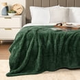 thumbnail image 5 of PAVILIA Sherpa Throw Blanket For Couch Sofa, Emerald Green Fluffy Warm Plush Blanket for Bed, Cozy Super Soft Lightweight Throw, Fuzzy Decorative Blanket, All Season Home, 50x60, 5 of 9