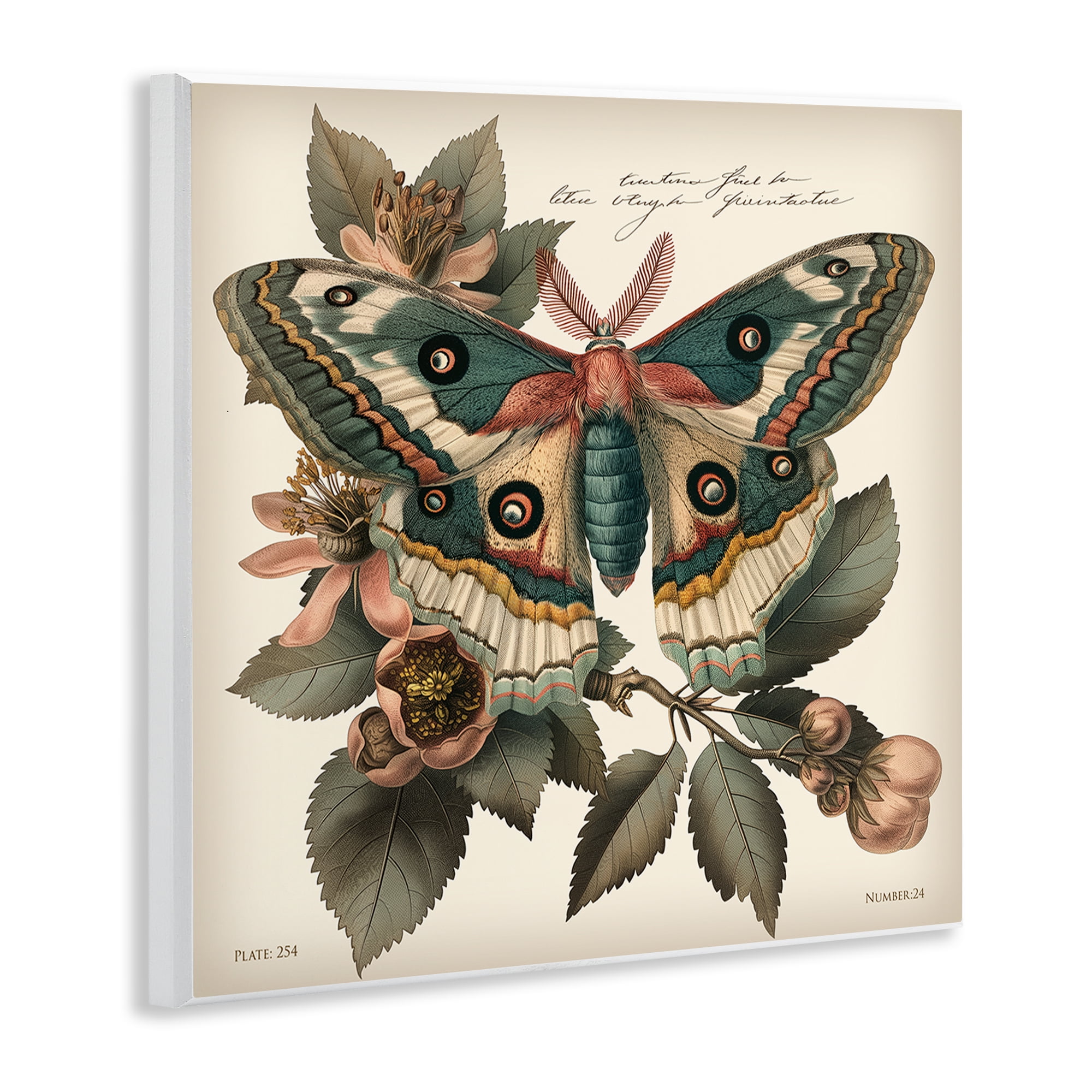 Stupell Industries Green Patterned Moth Animals Painting Unframed Art Print Wall Art, 12 x 12