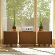 Denon PMA-3000NE Reference 2-Channel Integrated Amplifier (Silver)