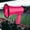Rose Red, variant on Portable Bullhorn Megaphone ing for Soccer, Outdoor Sports Basketball, Blue