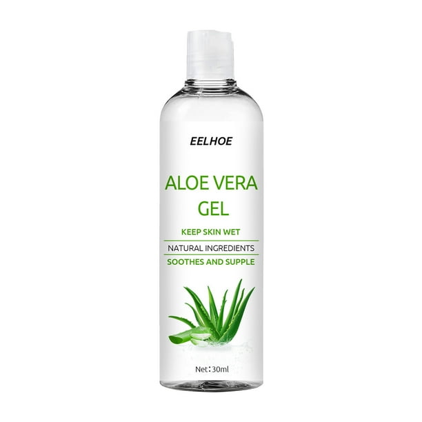 wie teuer ist eine aloe vera pflanze Aloe Vera - Barbadensis miller