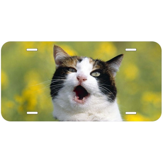 Cat TAG11 Novelty Car Auto License Plate