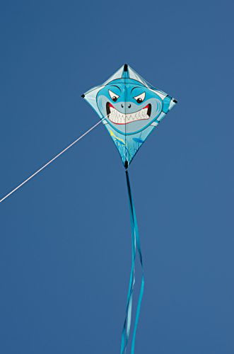 PR 15323 Kite Brave Pirate Muttly Dog Diamond 30" Single Line Kite & Sting..10. 