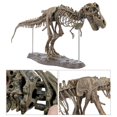 thumbnail image 3 of POINTERTECK Tyrannosaure Rex Squelette Dinosaure T Rex Modèle Animal Jouets Collection Super Décoration; Tyrannosaure Rex Squelette Dinosaure T Rex Modèle Animal Jouets Décoration, 3 of 8