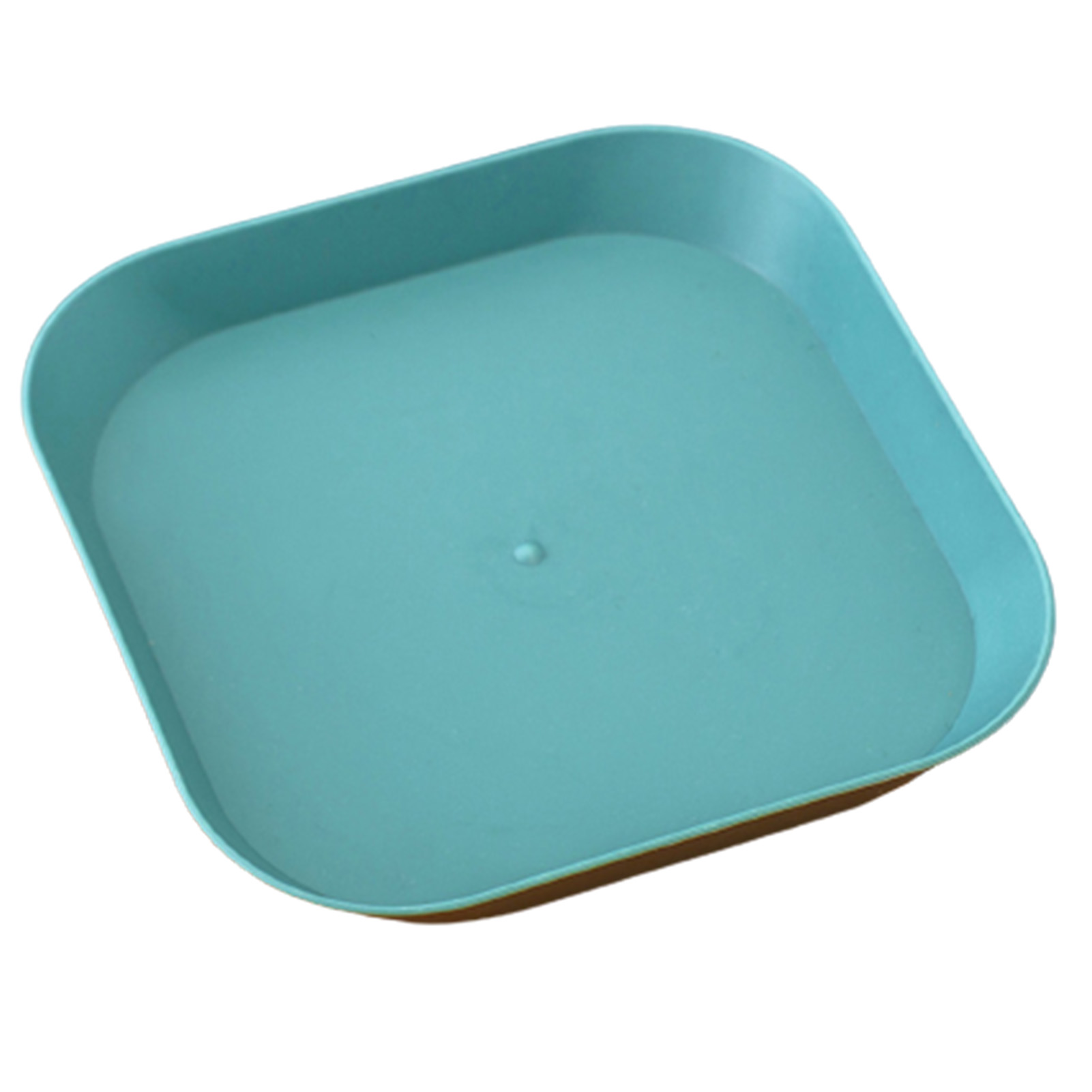 Reusable Dinner Plates Multi Fruit Snack Plate Lightweight Suit for