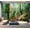 Color2, variant on Peel and Stick Wallpaper autumn leaves grass Modern Art Wall Mural Decor Self Adhesive and Removable 69in x 98in