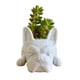thumbnail image 2 of Maceta para flores, maceta decorativa para cachorros, maceta de resina para flores, maceta elegante y moderna, 2 of 6