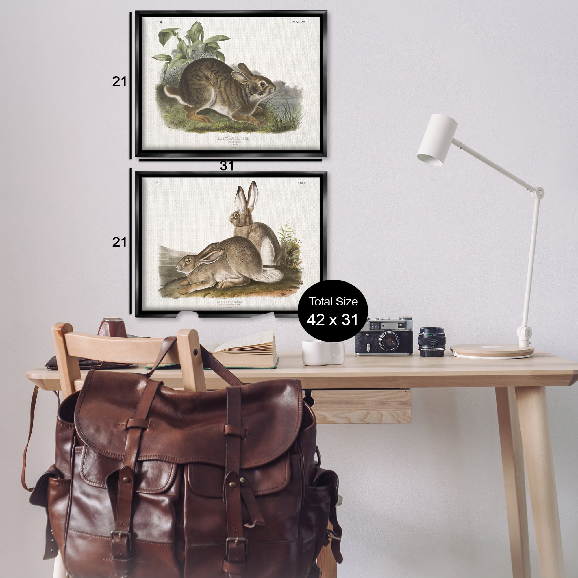 Stupell Industries Gentle Resting Cottage Rabbit Animals Painting Black Floater Framed Canvas Art Print Wall Art, 31 x 21, Set of 2