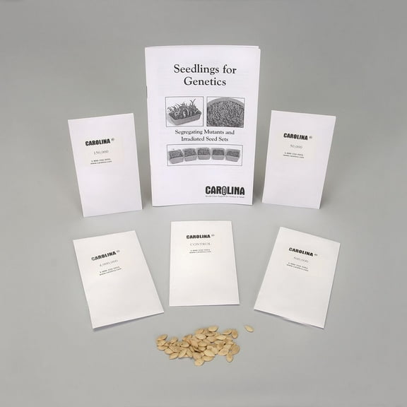 Squash, Irradiated Seed Set, 5 Packs Of 50
