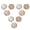 White, variant on Riousery 9PCS Polyhedral Dice Set Waterproof Plastic Lightweight Portable Table Gaming Dices for Travel Picnic Gradient Color 3.54x3.15x1.18 inches (9x8x3 cm) 1.9 oz (54g)