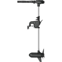 HASWING Protruar Electric Trolling Motor – 12V Brushless 2 HP Power 35.4 Inch Shaft Stepless Speed Control - Low Voltage & High Thrust - Suitable for Saltwater & Freshwater Boat Fishing