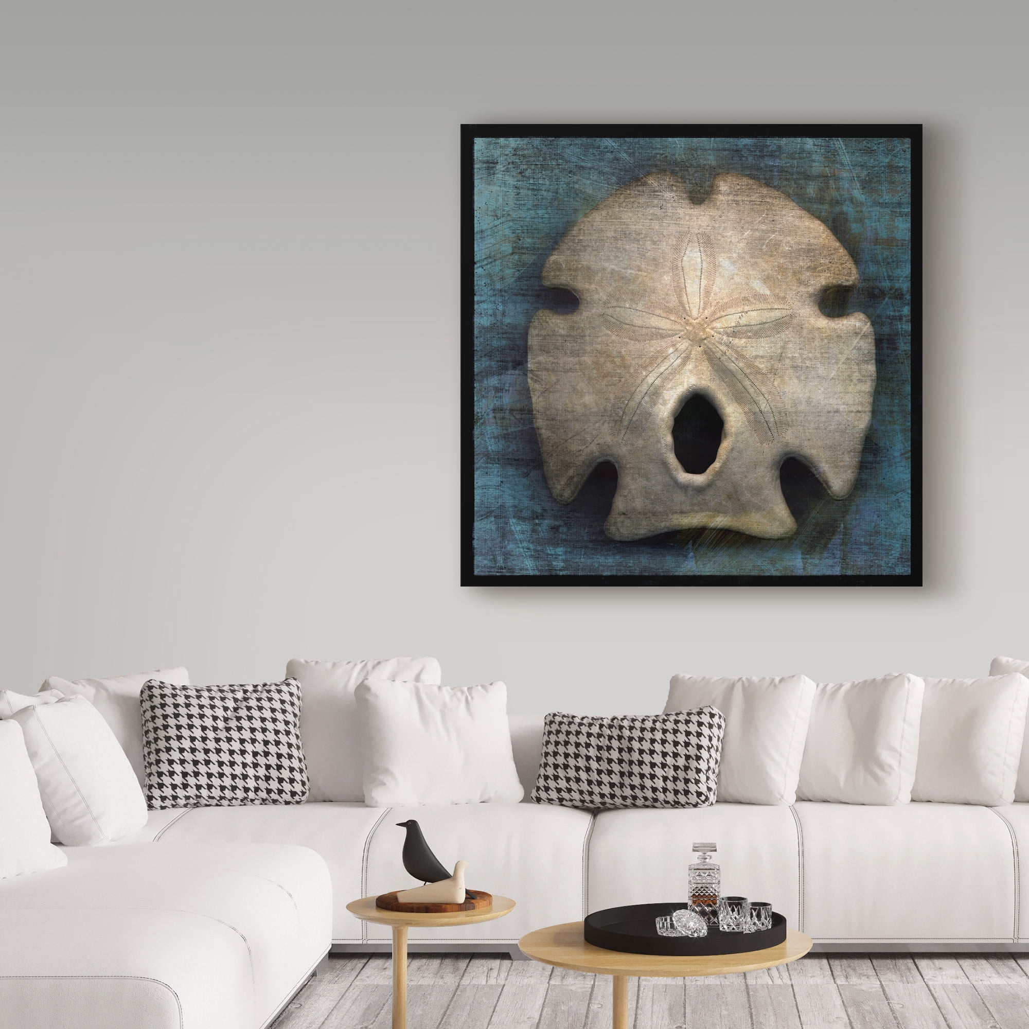 Trademark Fine Art 'Arrowhead Sand Dollar' Canvas Art by John W. Golden