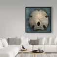 thumbnail image 3 of Trademark Fine Art 'Arrowhead Sand Dollar' Canvas Art by John W. Golden, 3 of 3