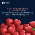 thumbnail image 4 of Talenti Dairy-Free Sorbetto Roman Raspberry Sorbet Frozen Desserts, 1 Pint, 4 of 9