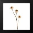 thumbnail image 2 of Michal, Susan 20x20 Black Modern Framed Museum Art Print Titled - Strawflower, 2 of 5