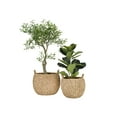thumbnail image 5 of Bloomingville 16" & 20.5" Round Woven Water Hyacinth Baskets with Handles (Set of 2 Sizes), 5 of 5