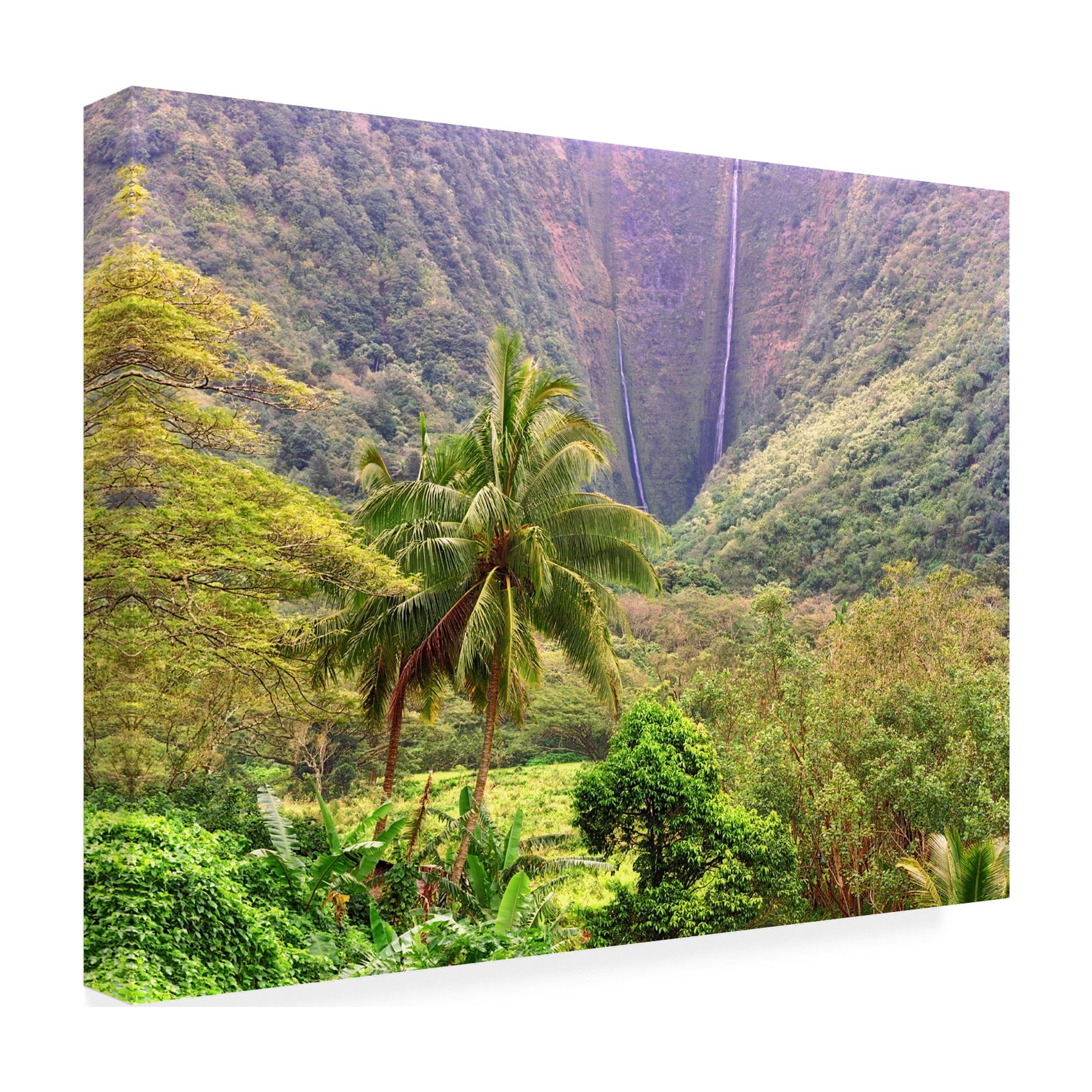 Trademark Fine Art 'Waipio Valley' Canvas Art by Mike Jones Photo