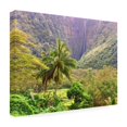 thumbnail image 4 of Trademark Fine Art 'Waipio Valley' Canvas Art by Mike Jones Photo, 4 of 4
