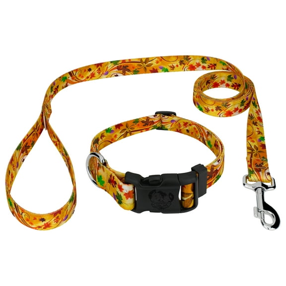 Country Brook Petz® Deluxe Autumn Wind Dog Collar and Leash, 2XS