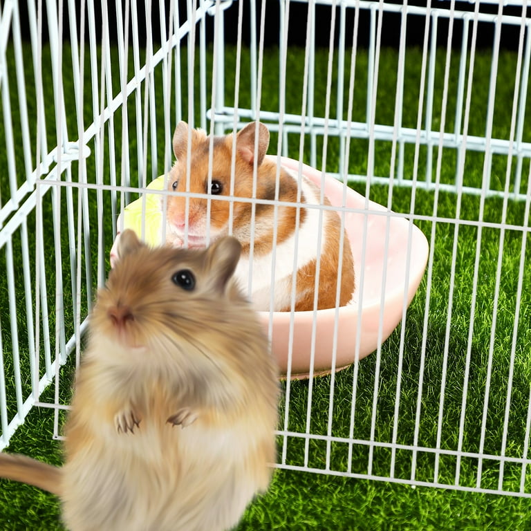 Hamster cage divider hotsell