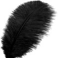 thumbnail image 4 of MesaSe Lot de 20 Plumes d'Autruche Rouge Naturelles 8-10 Pouces pour Décorations DIY Mariage Centre de Table, 4 of 8