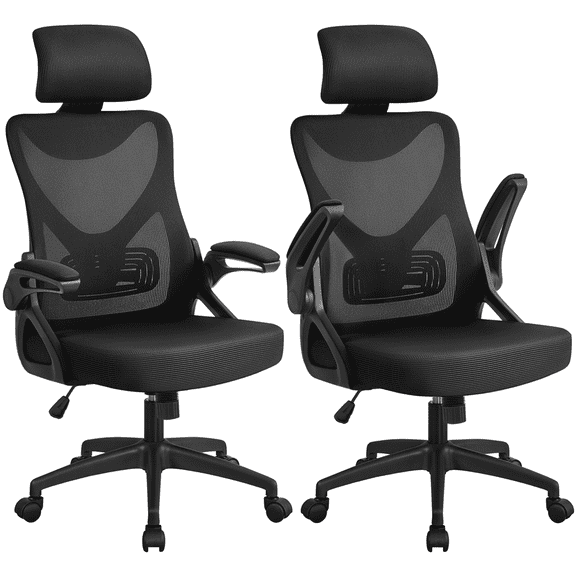Renwick Set of 2 High Back Office Chair Computer Chair for Adult, Black