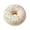 D, variant on Realistic Artificial Food Props, Artificial T-oy Donuts, Cute Stress Relief T-oy, Blue Sugar Sprinkle Donut Refrigerator Magnet, 3D Simulated Food Squeeze T-oy