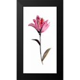 thumbnail image 2 of Mosley, Kiana 9x14 Black Modern Framed Museum Art Print Titled - Floral Watercolor II, 2 of 5