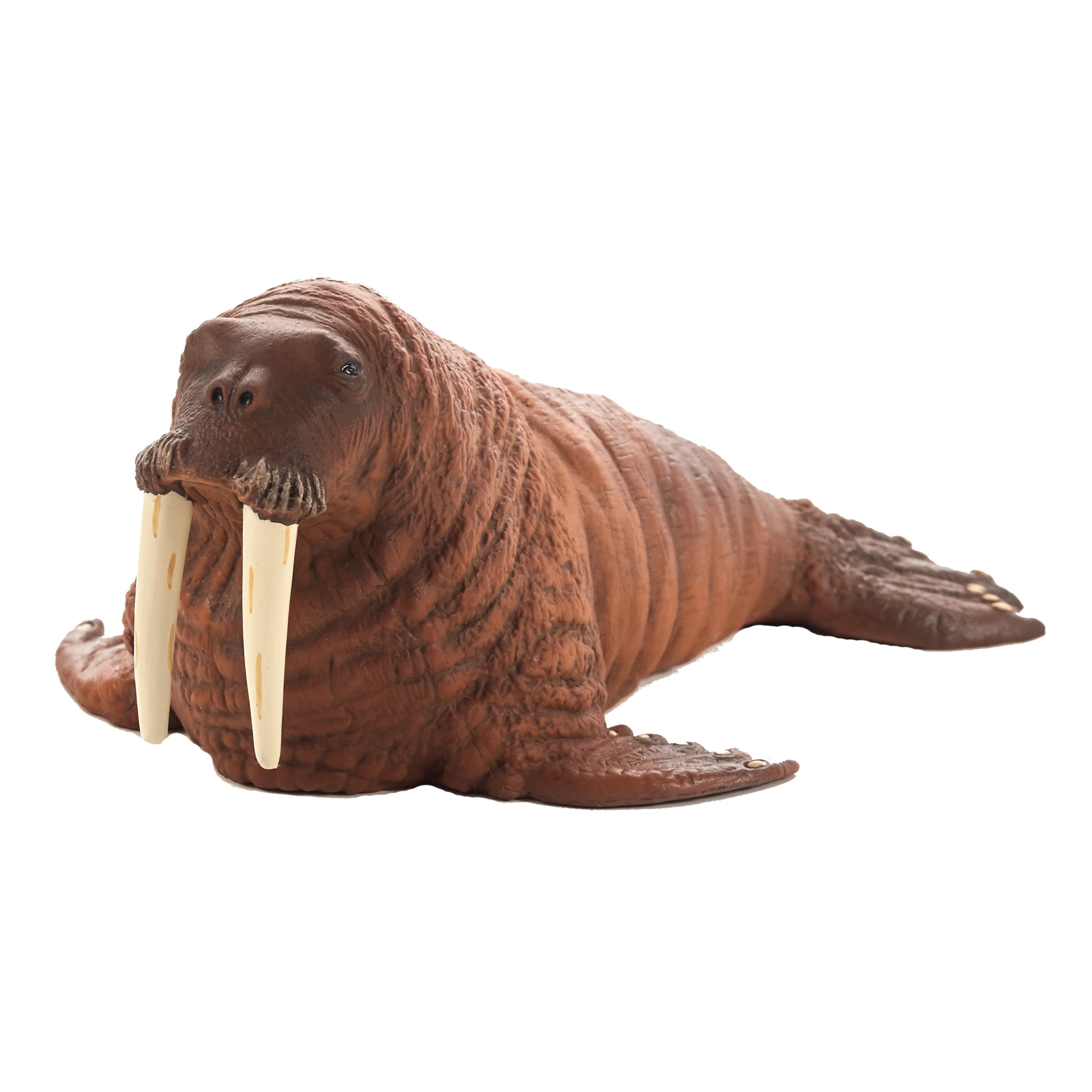 House of Marbles Ball and Walrus Wind Up Toy 