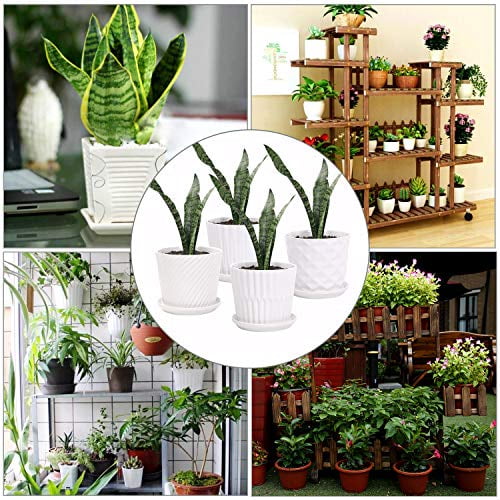 Planters for Succuelnt and Little Snake Plants 4 Pack, White Brajttt 5.5 Inch Cylinder Ceramic Plant Pots with Connected Saucer Flower Pots and Transplanter 