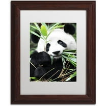 Trademark Fine Art "Giant Panda I" Canvas Art by Philippe Hugonnard, White Matte, Wood Frame
